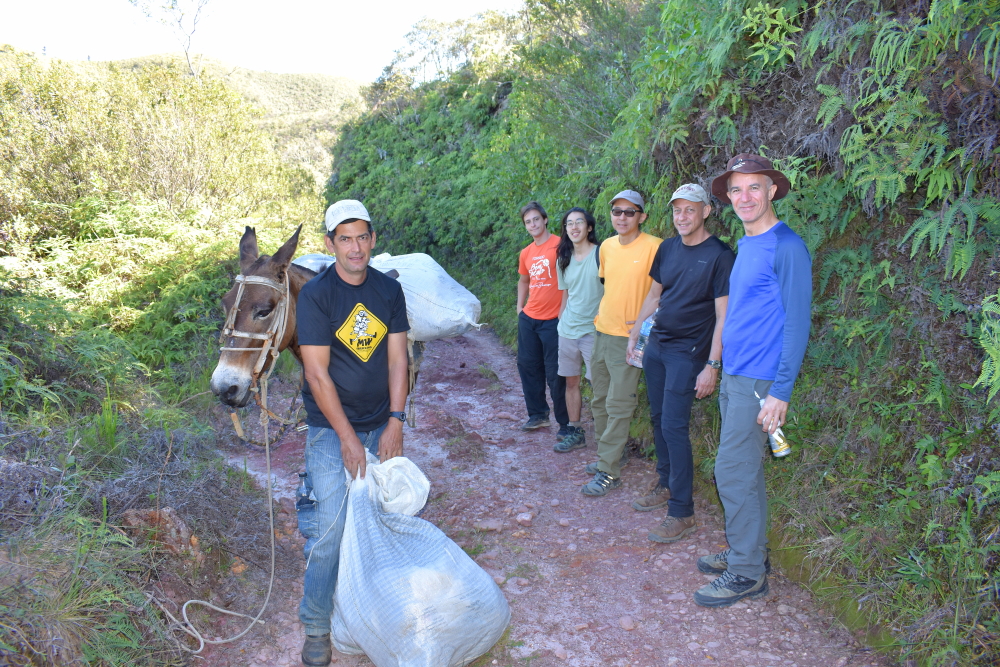 MW Trekking