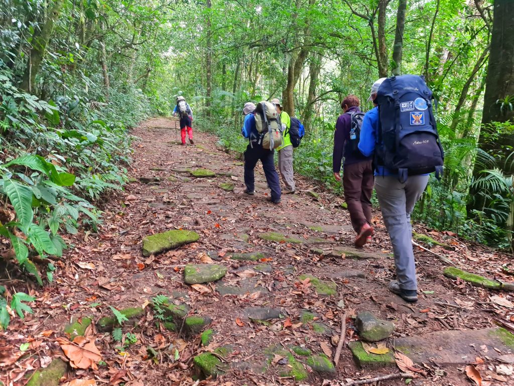 MW Trekking