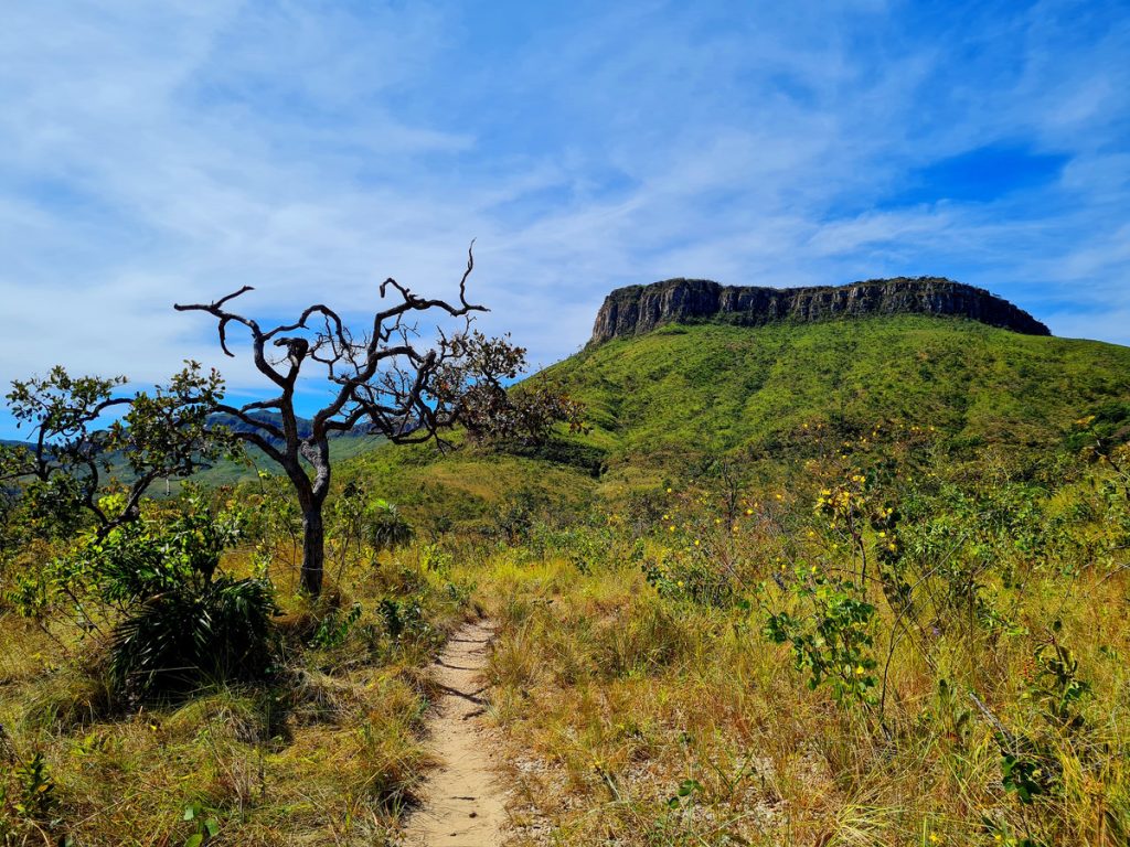 MW Trekking